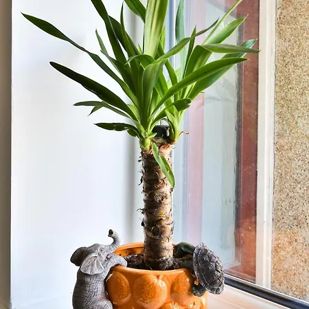 The Wishing Well- Lovely Spacious In Bs4 Sleeps 8 By Stae- Homes Tatil Evi *